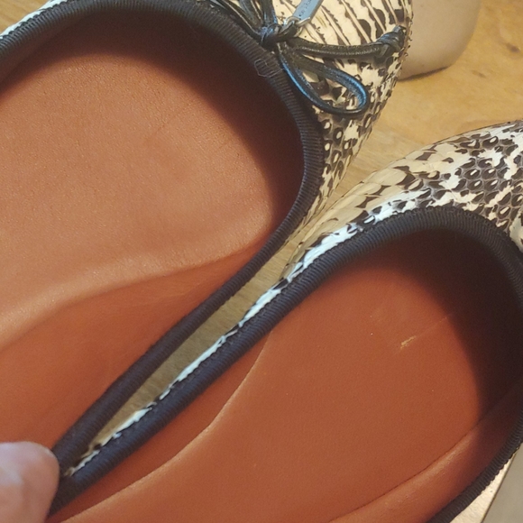 Coach Lola ballet flat in black white snake print - Picture 11 of 14